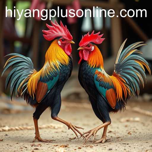 hiyang plus